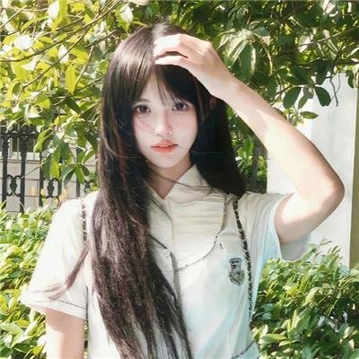 哈尔与哈珀
